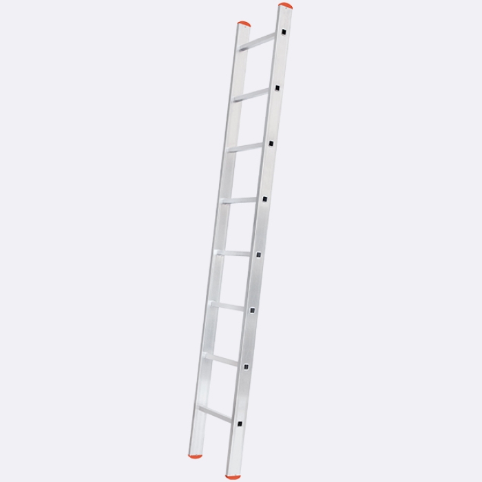 Single-Section Ladder