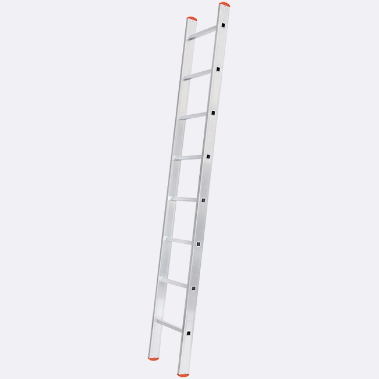 Single-Section Ladder